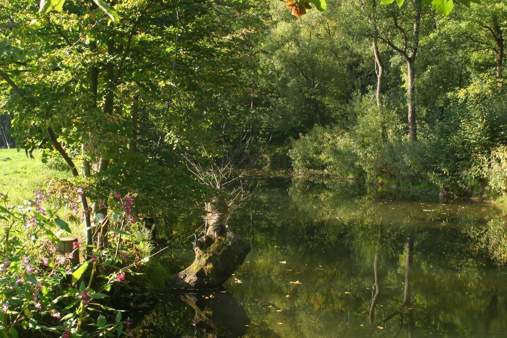 Turisticka Ubytovna Cakle Ústí nad Orlicí 외부 사진